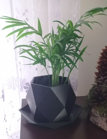 Hexagonal Flower Pot