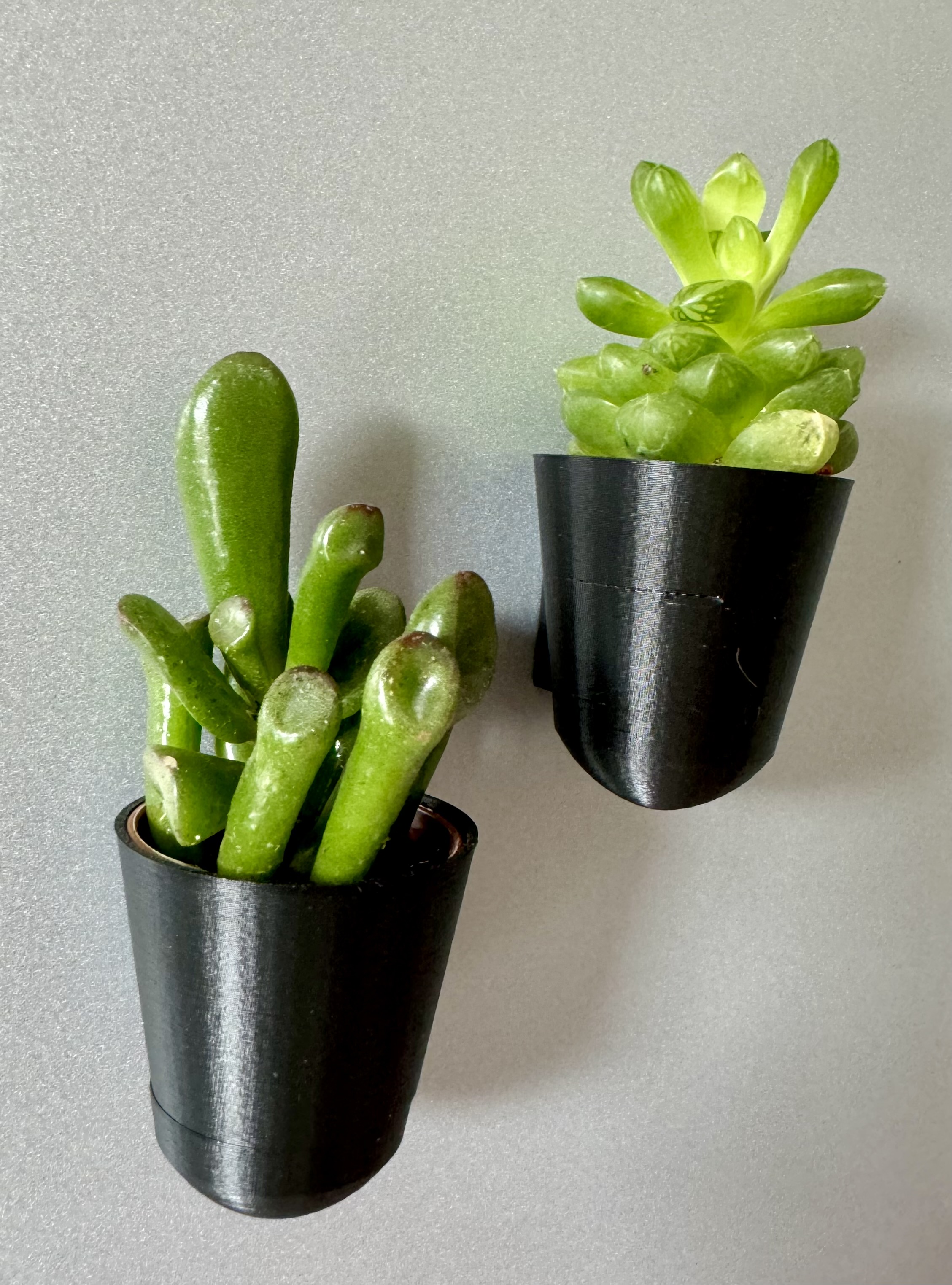 Little magnetic flower pot for wall mounting