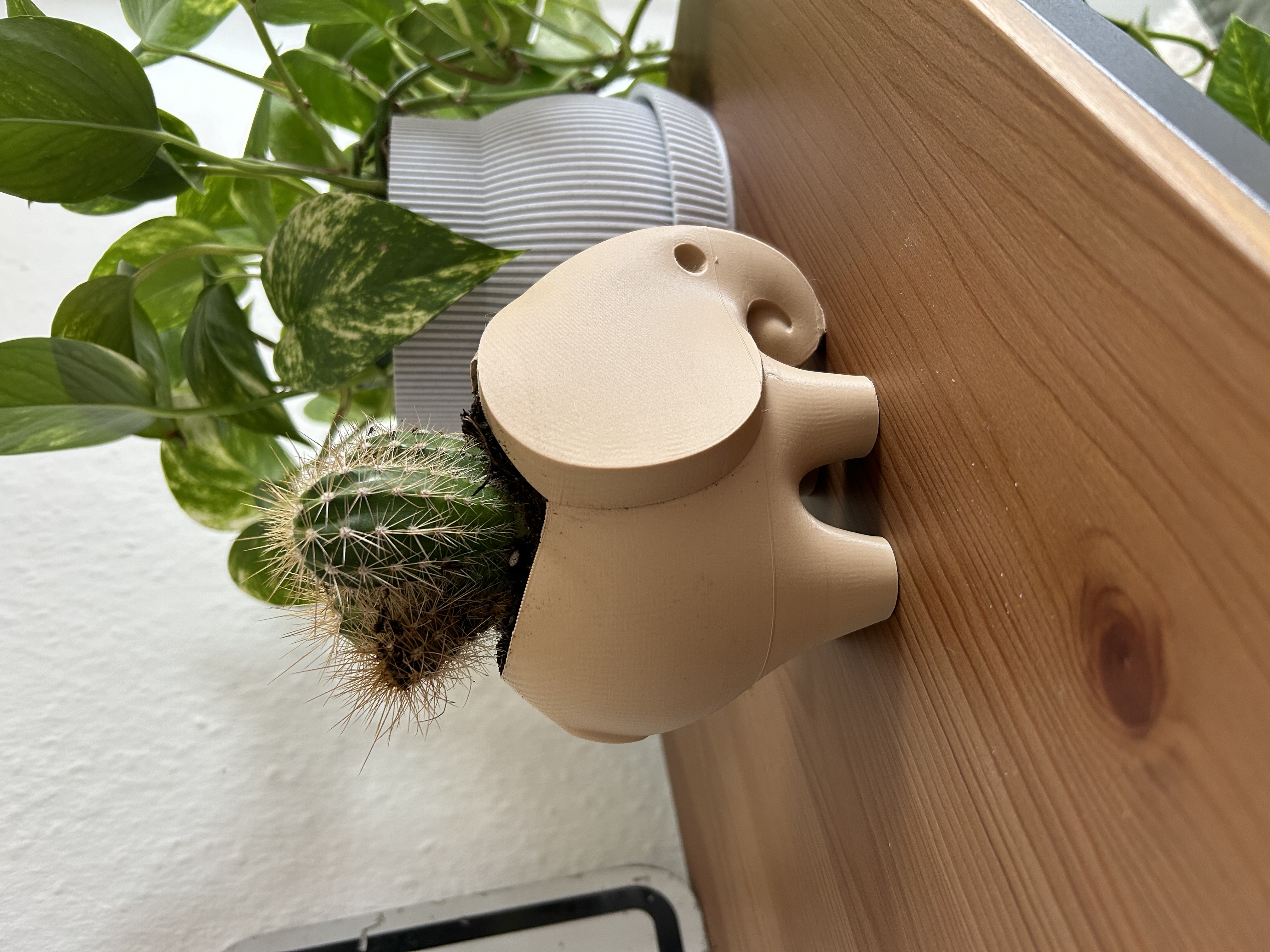Elephant Planter | Plant Pot | Vase | Pencil holder