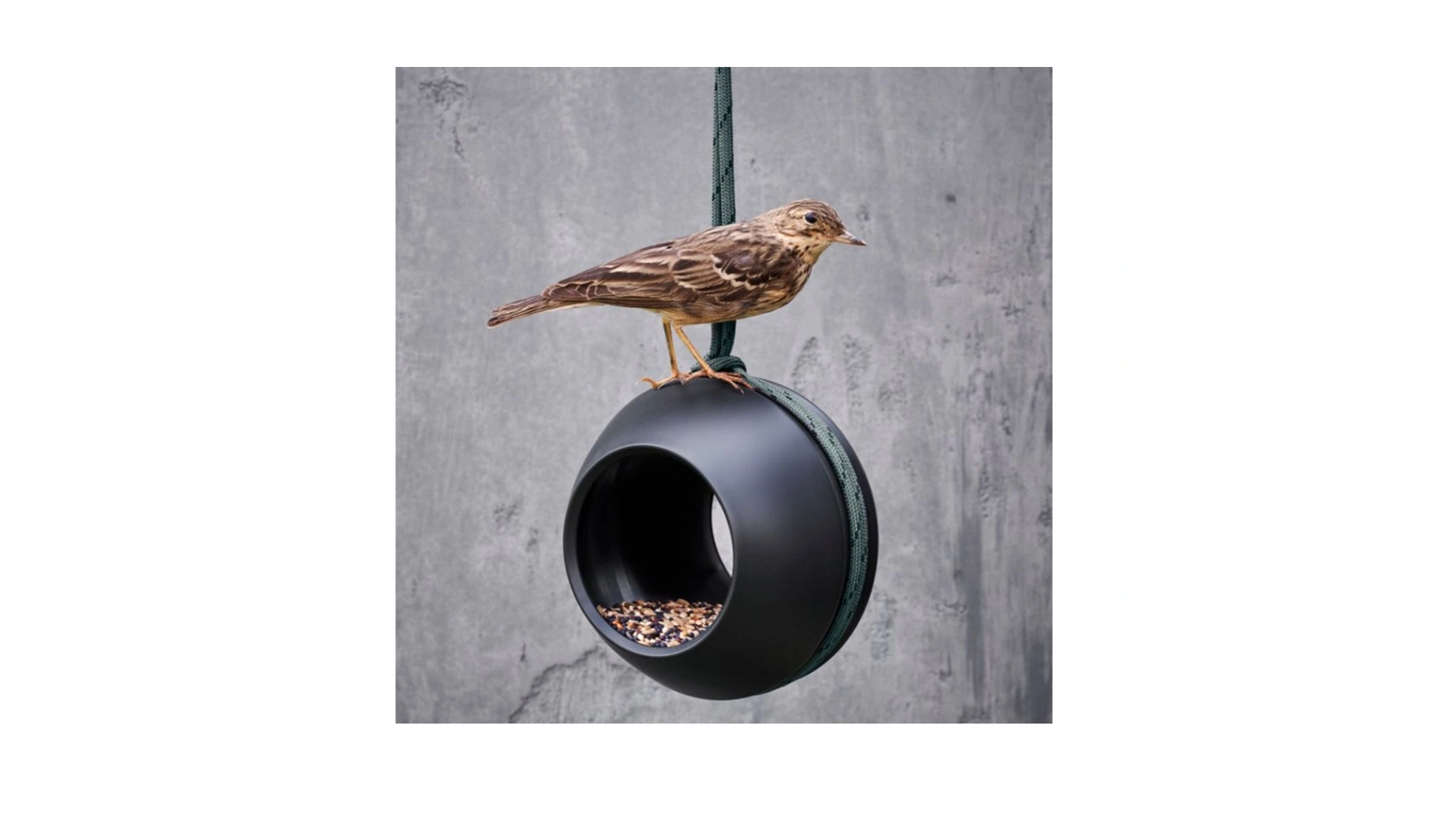 Mangeoire à oiseaux