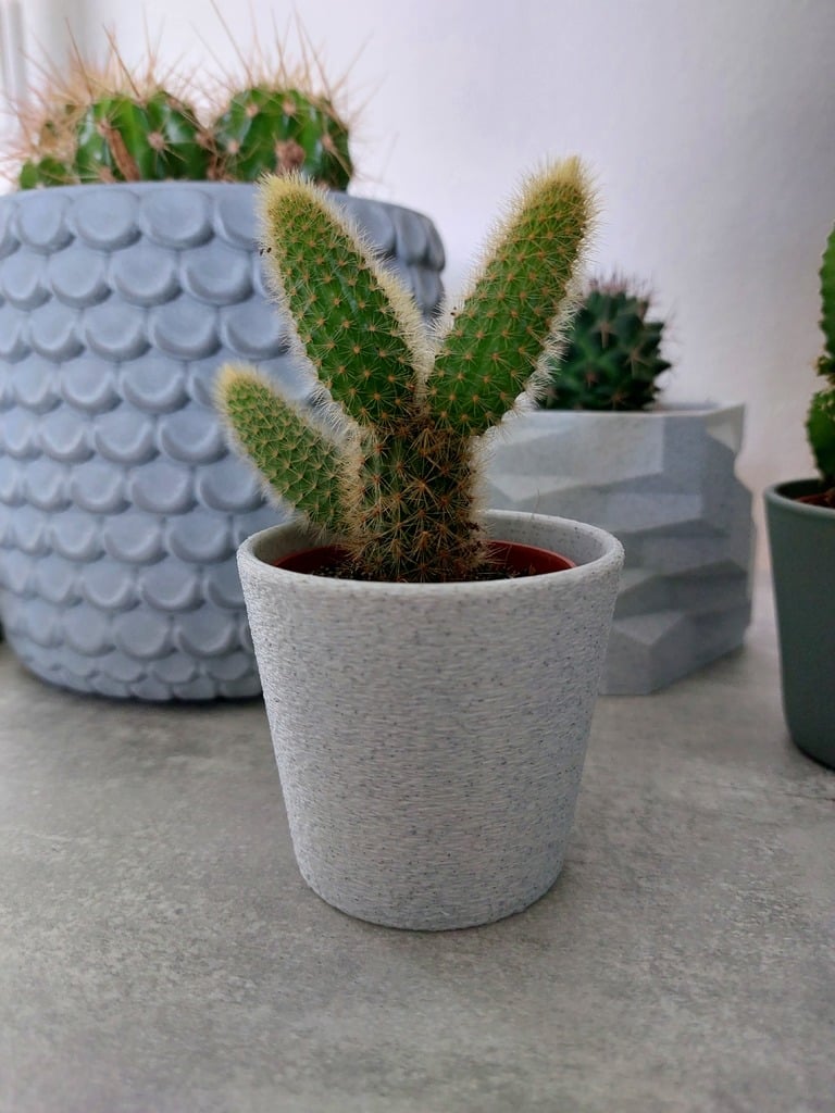 Small Plant Pot