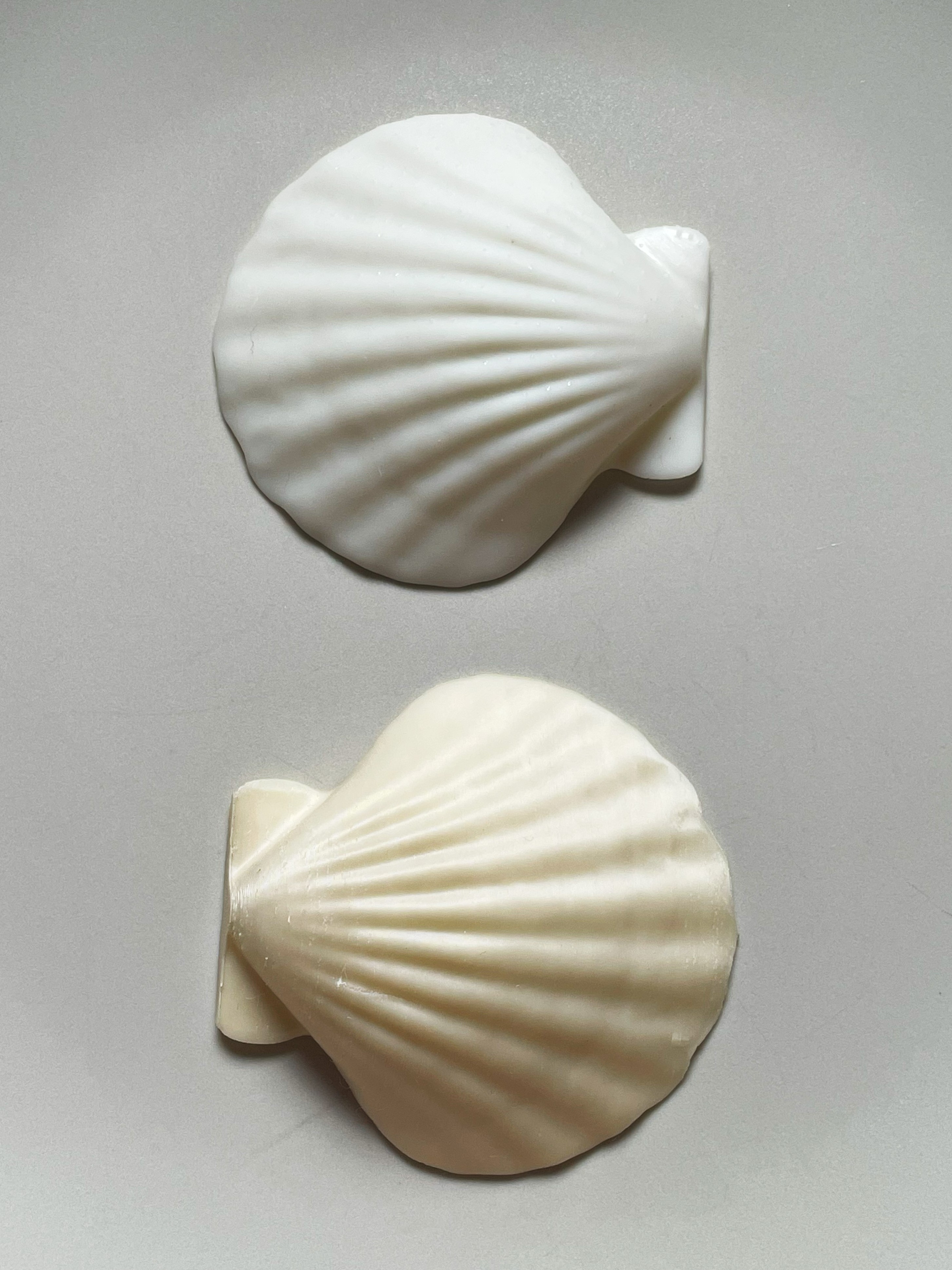 Miniatura 2 do modelo 3D Natural Seashell Model