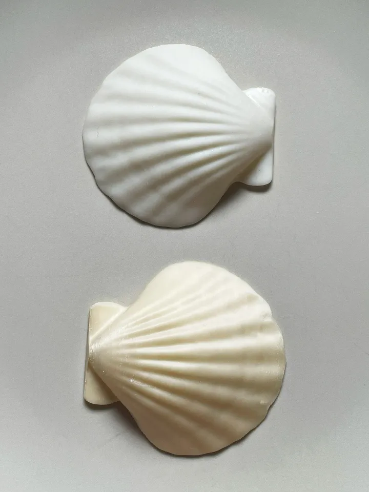 Natural Seashell Model by Blue Hazel | Download free STL model ...