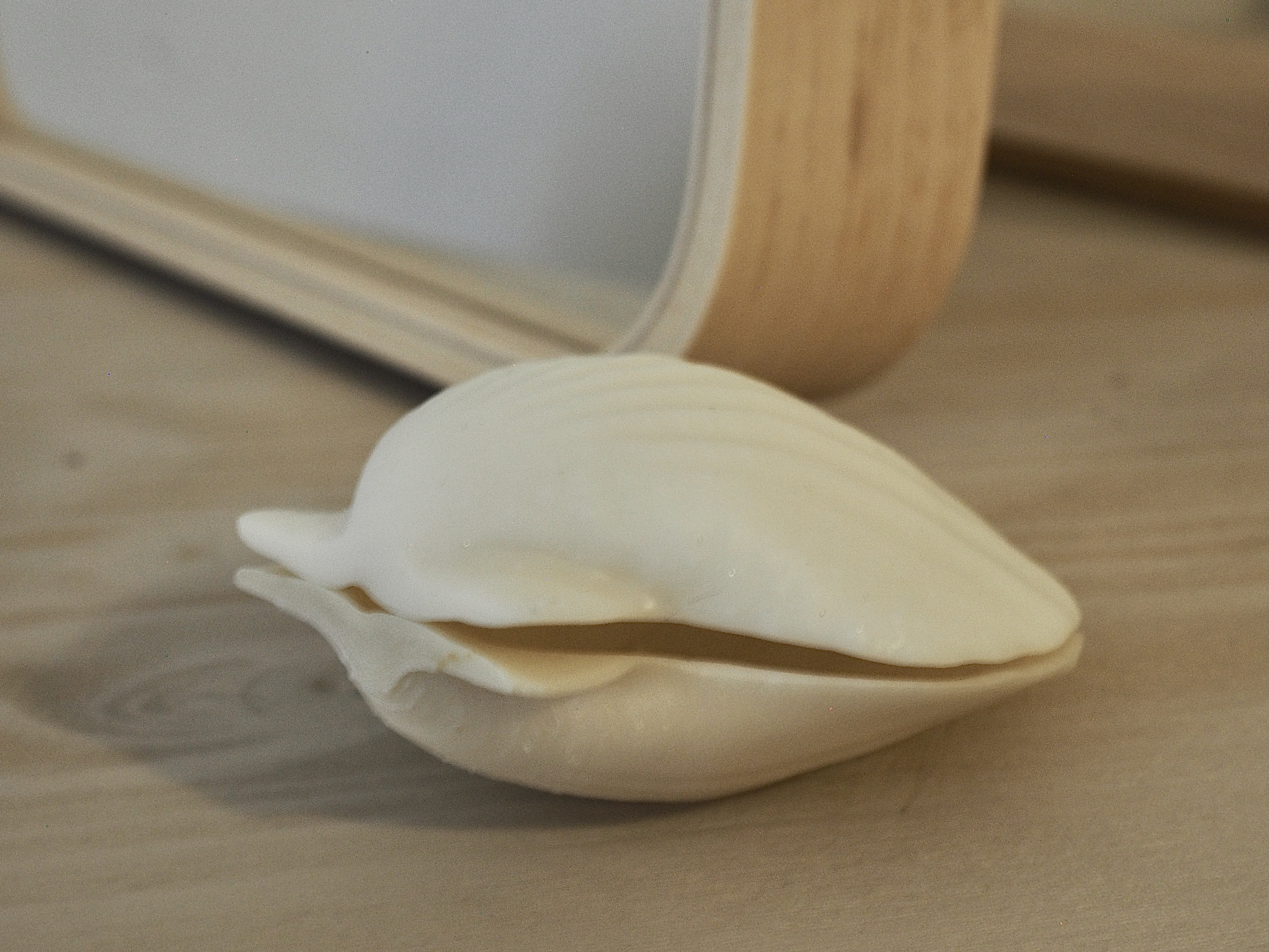 Miniatura 4 do modelo 3D Natural Seashell Model
