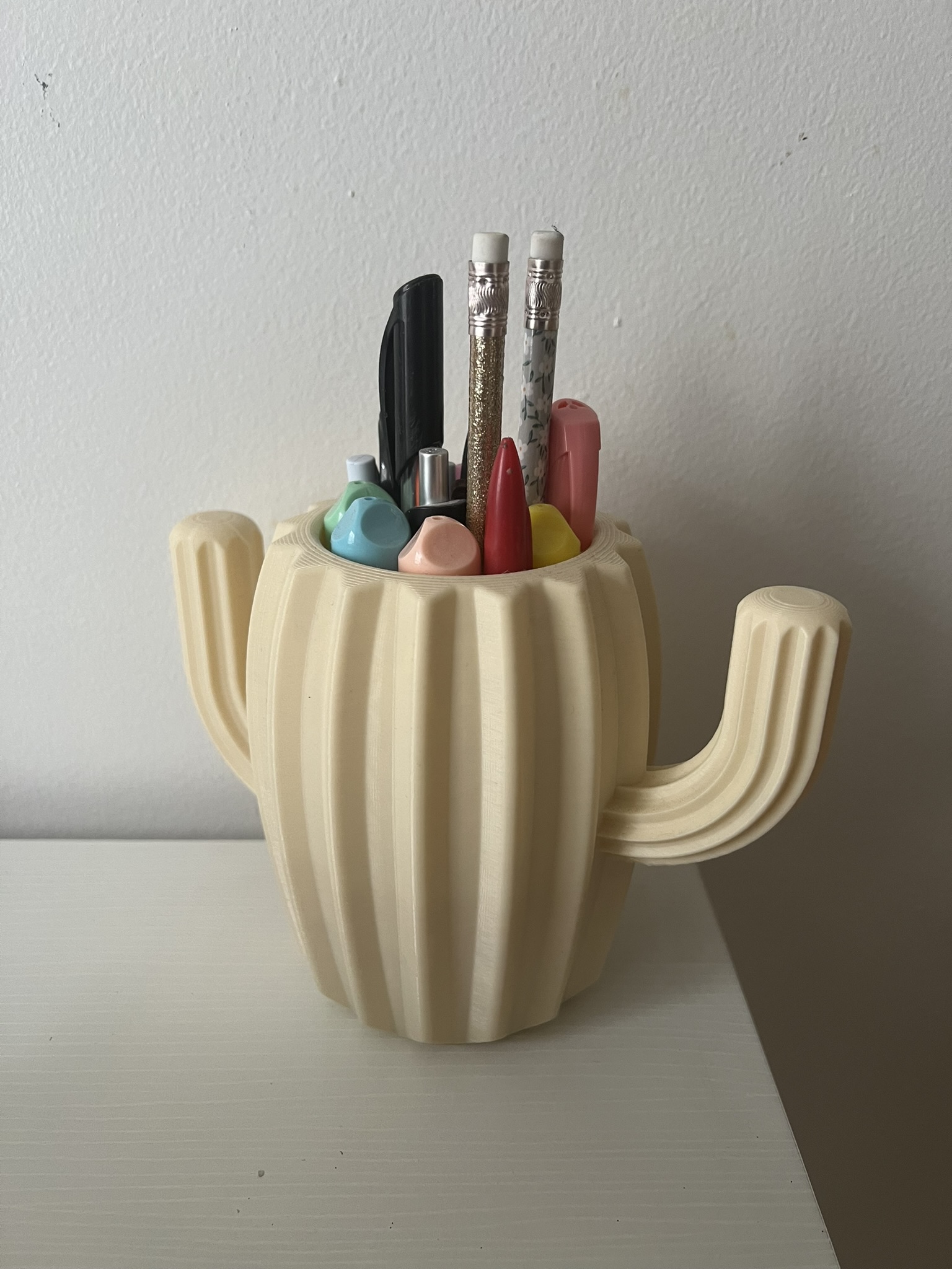 Cactus Pen holder