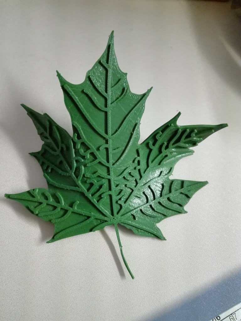 Miniatura 3 do modelo 3D Maple Leaf