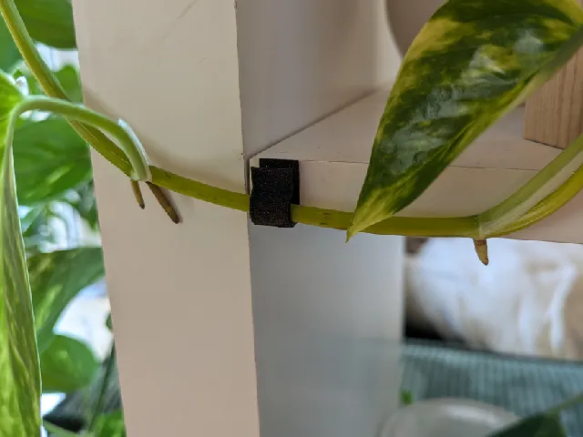Vine Clip