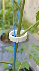 Tomato Clip v3