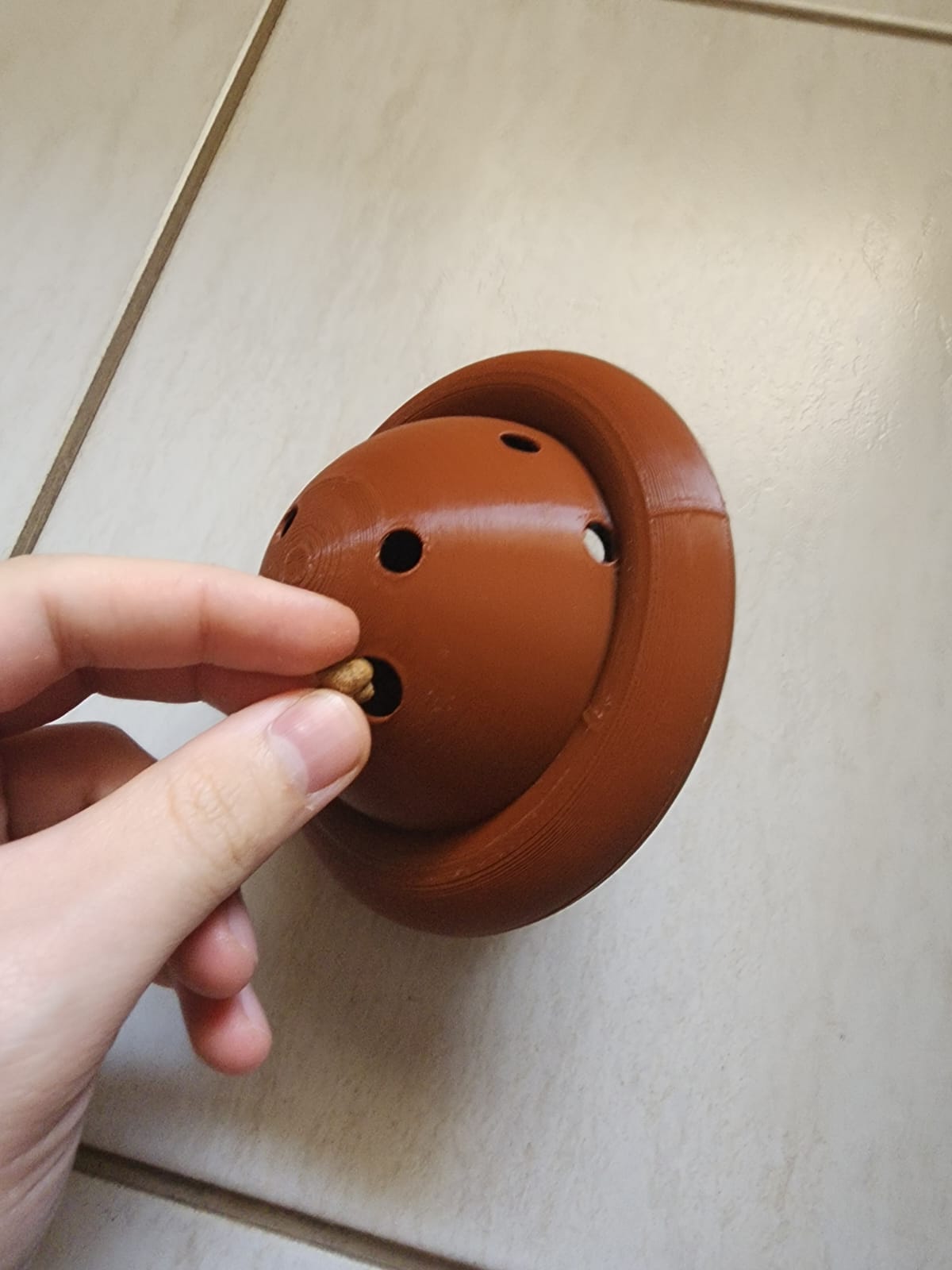 Dog toy disc