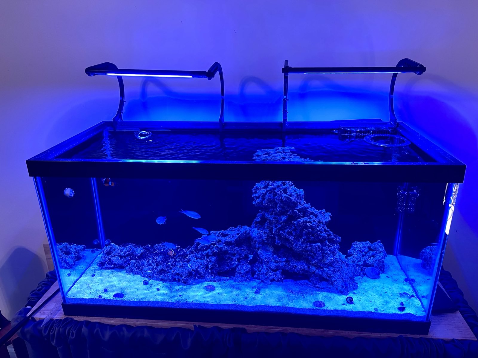 Aqua illumination AI Blade Mount