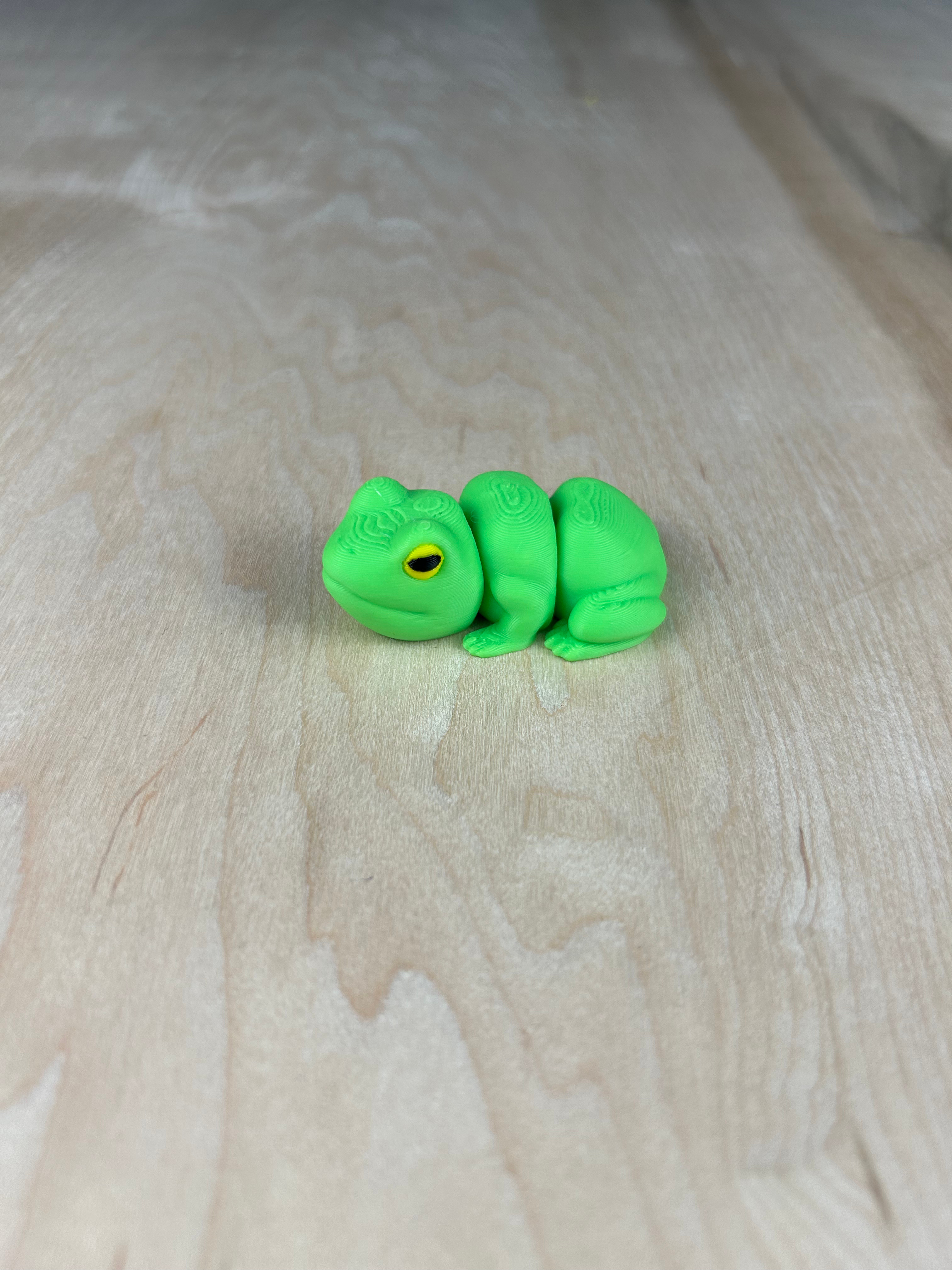 Frog Fidget