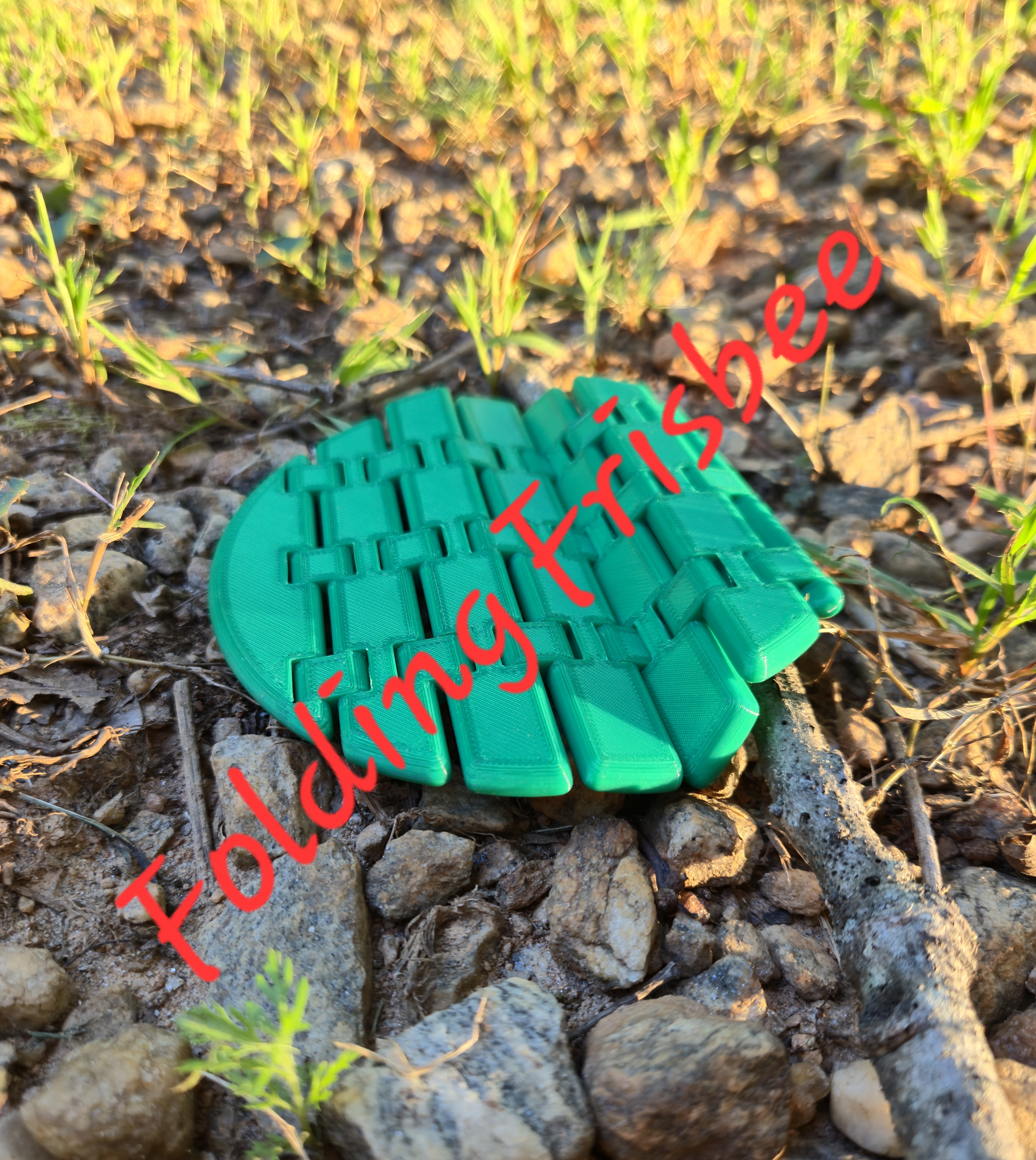 FRISBEE FOLD