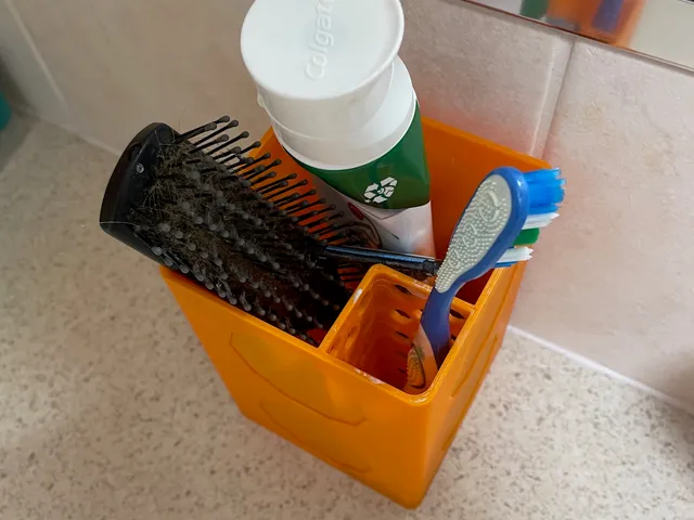 Tooth Brush Container