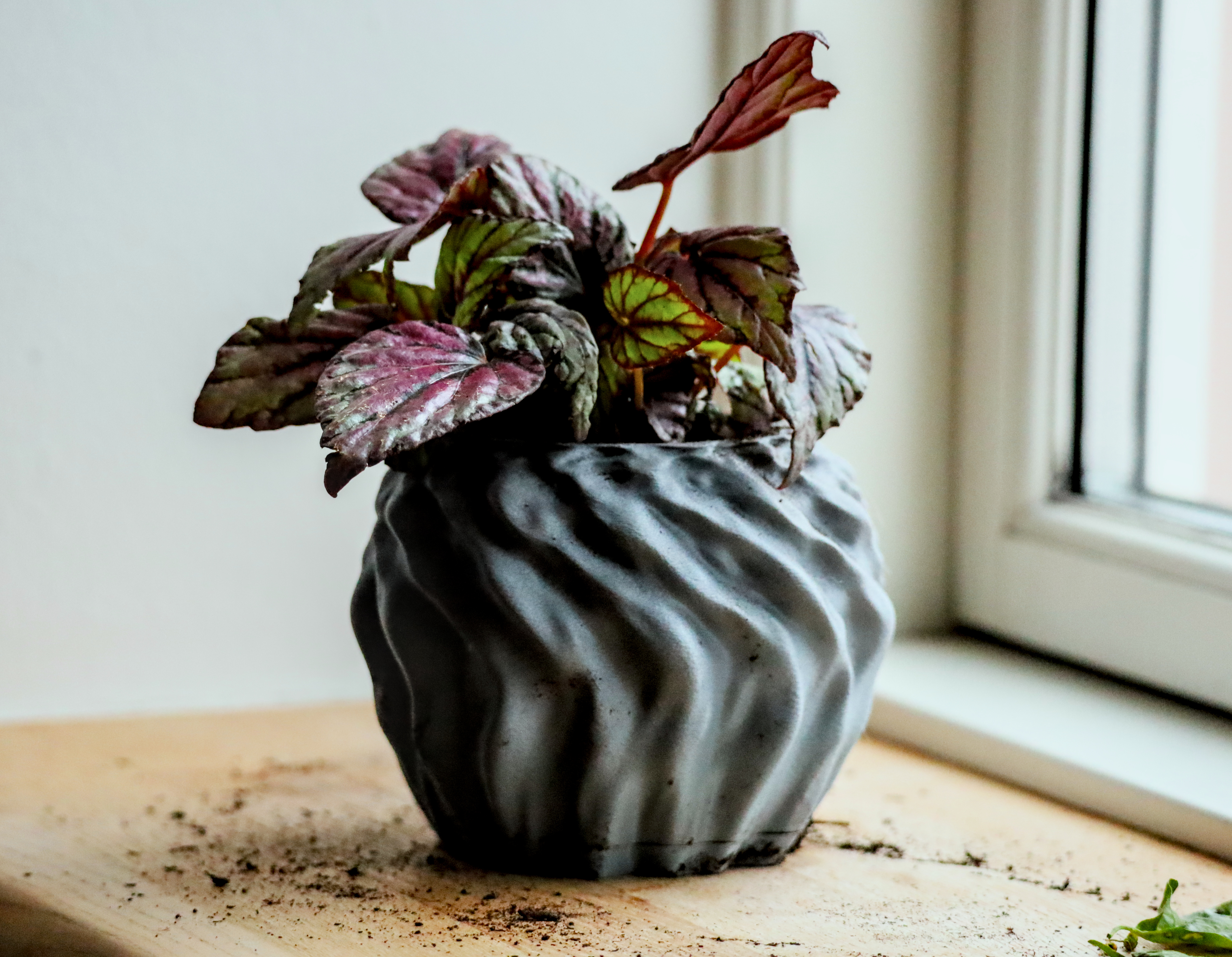 Pot 14