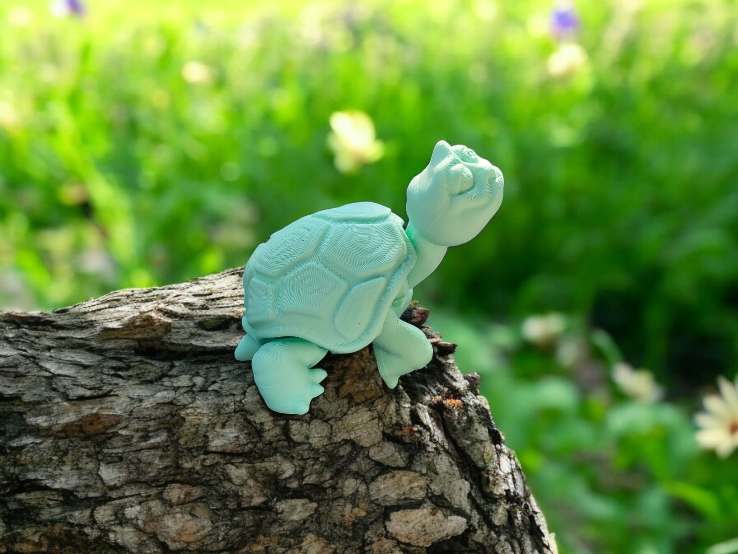 Happy Old Turtle