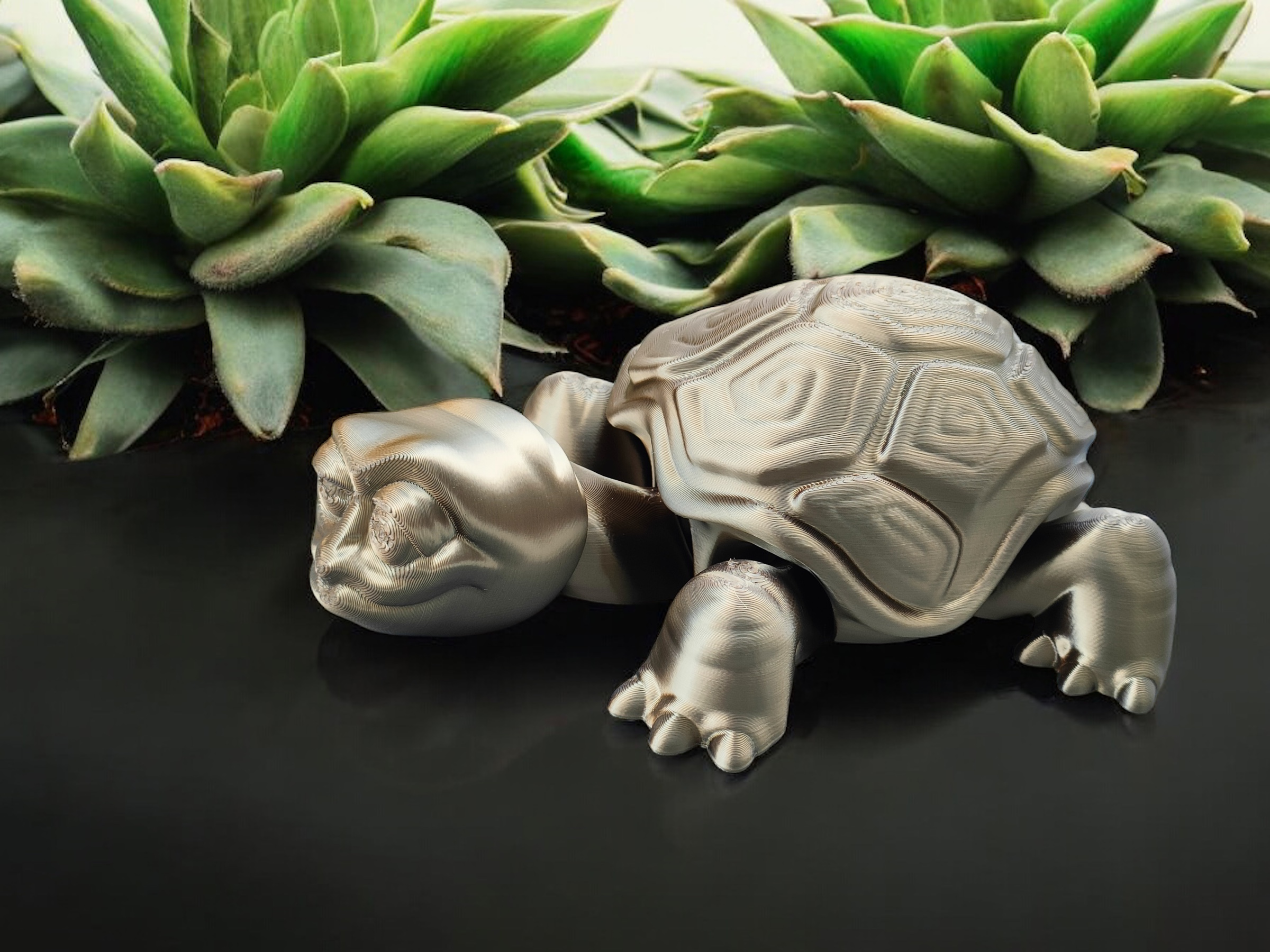 Miniatura 3 do modelo 3D Happy Old Turtle