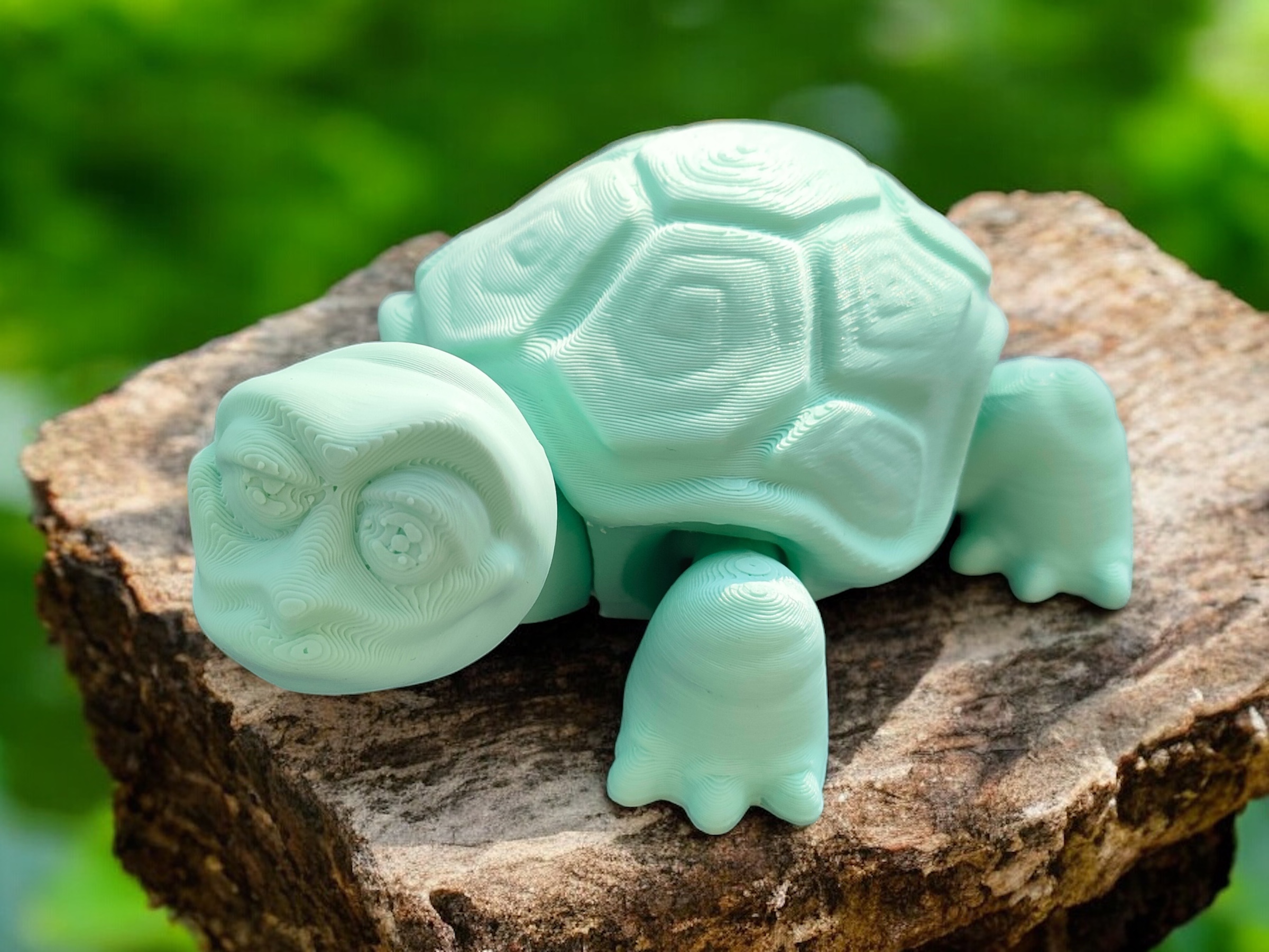 Miniatura 5 do modelo 3D Happy Old Turtle