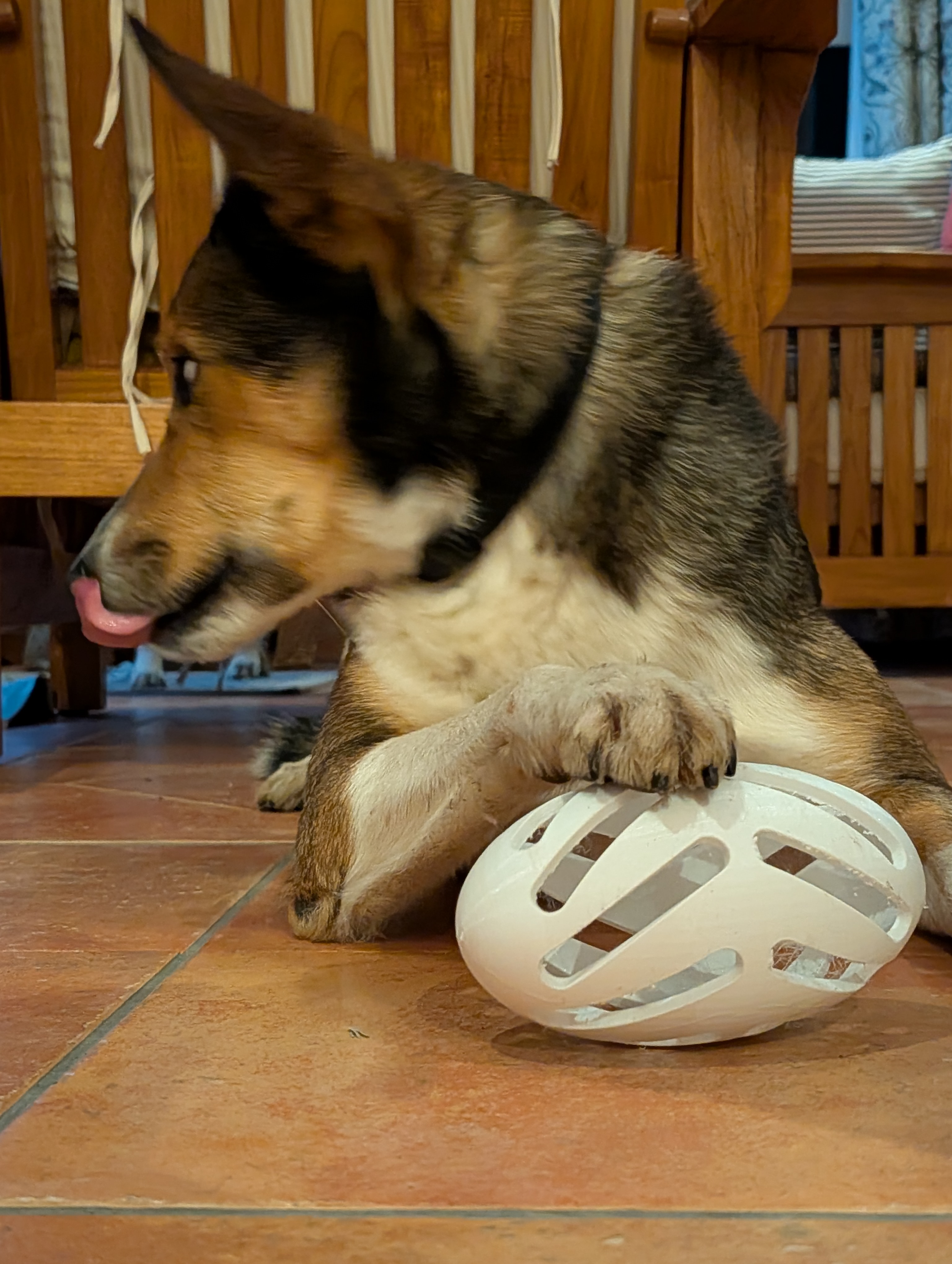 Vortex Ball Toy — thumbnail 4