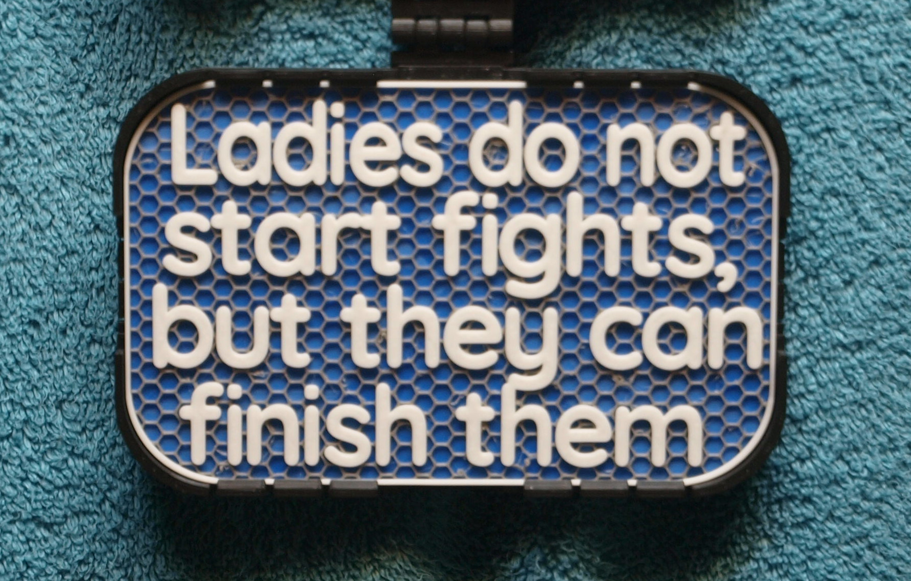 Ladies do not start fights sign