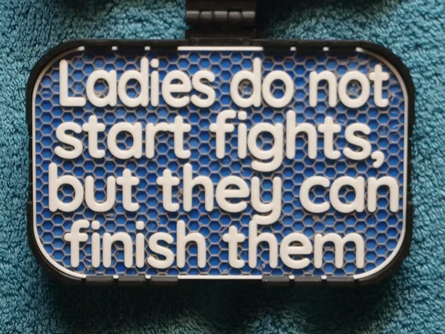 Ladies do not start fights sign