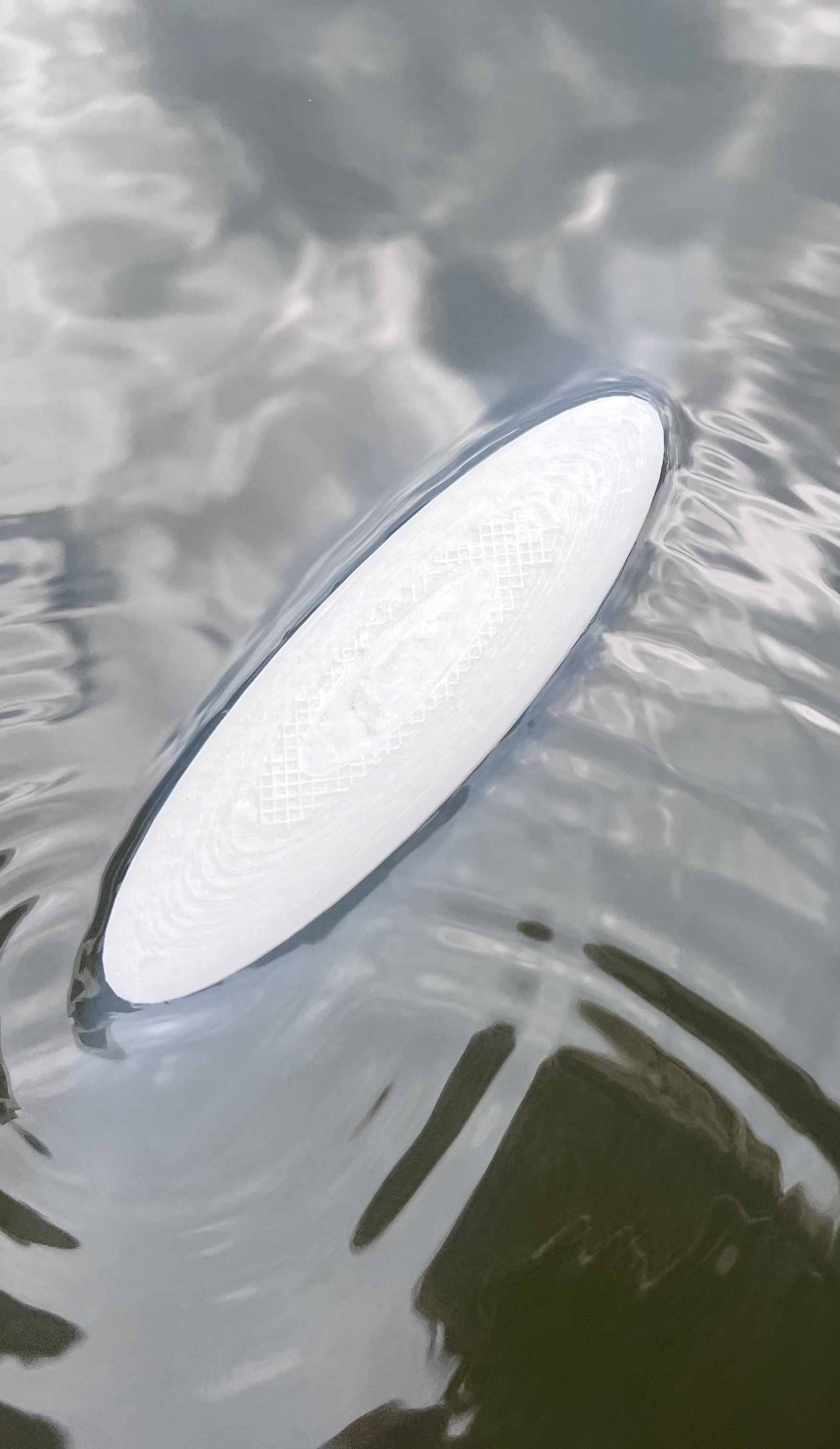 Mini sup (model)