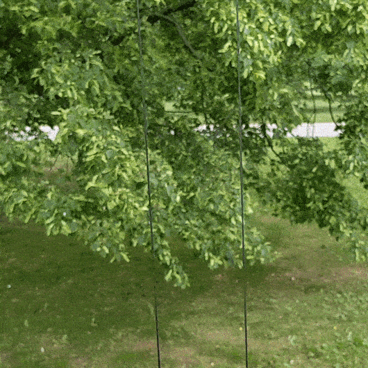Climbing Red Panda String Toy — thumbnail 4