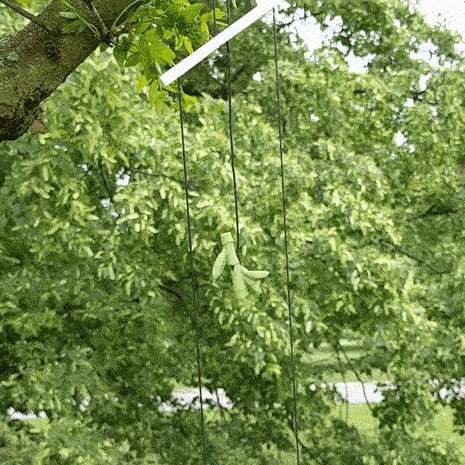 Climbing Red Panda String Toy — thumbnail 3