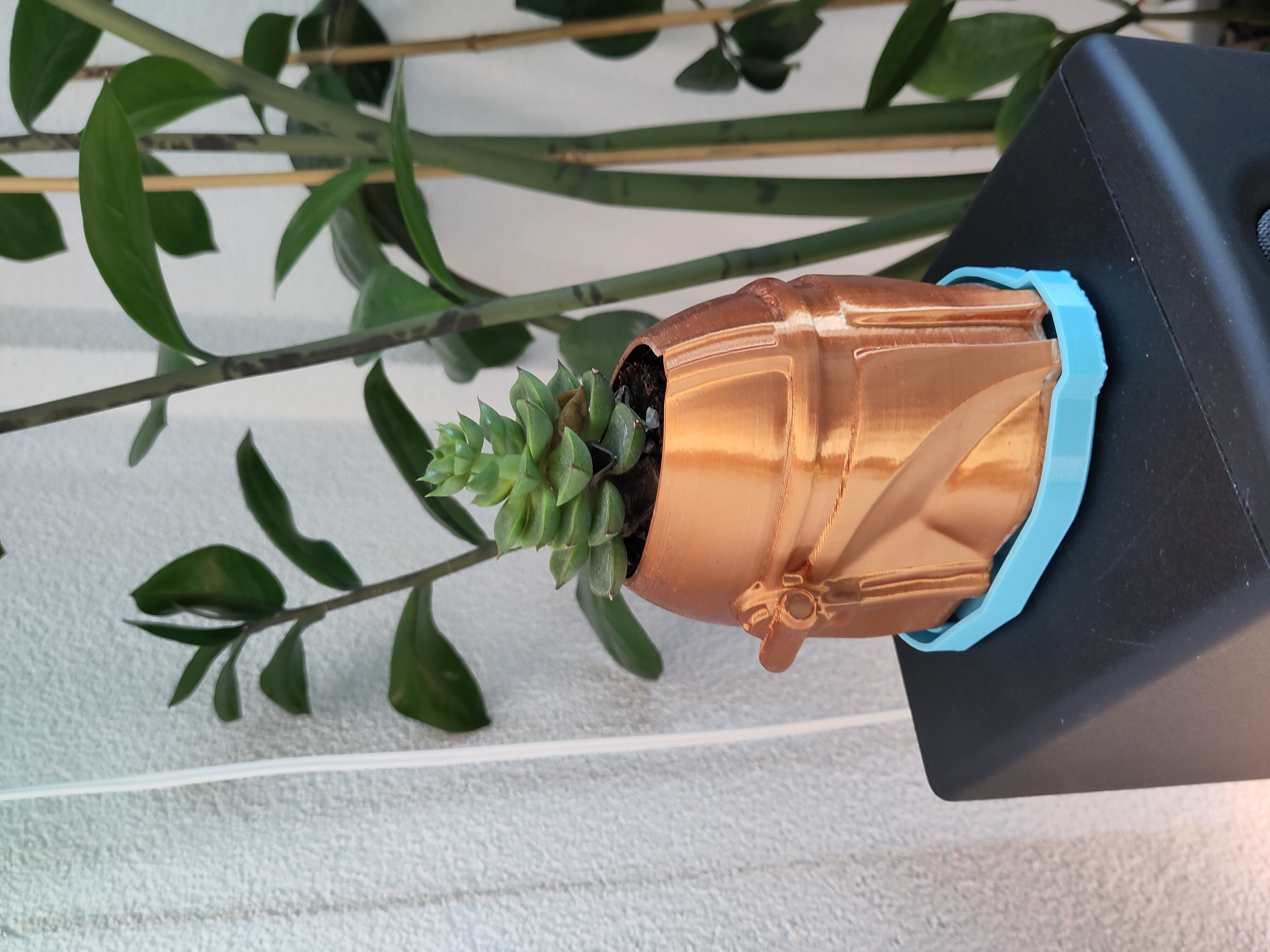 Mandoplant Saucer