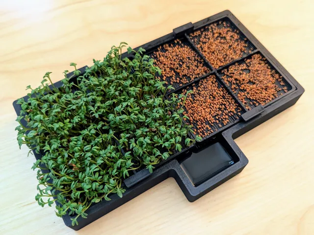Cress farm V2 (growing sprouts)