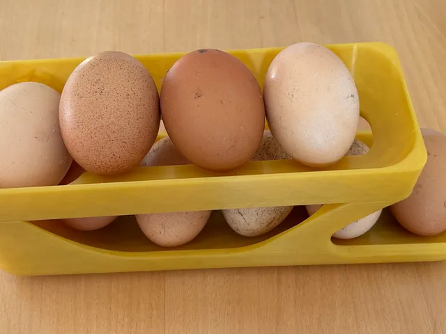 egg dispenser