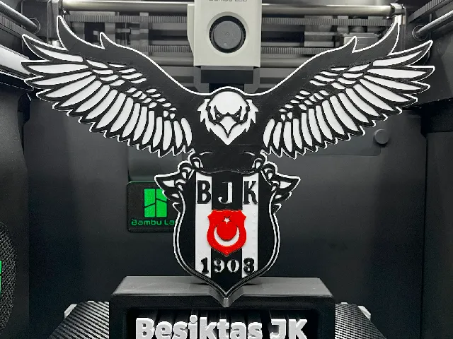 Besiktas Istanbul / Beşiktaş JK