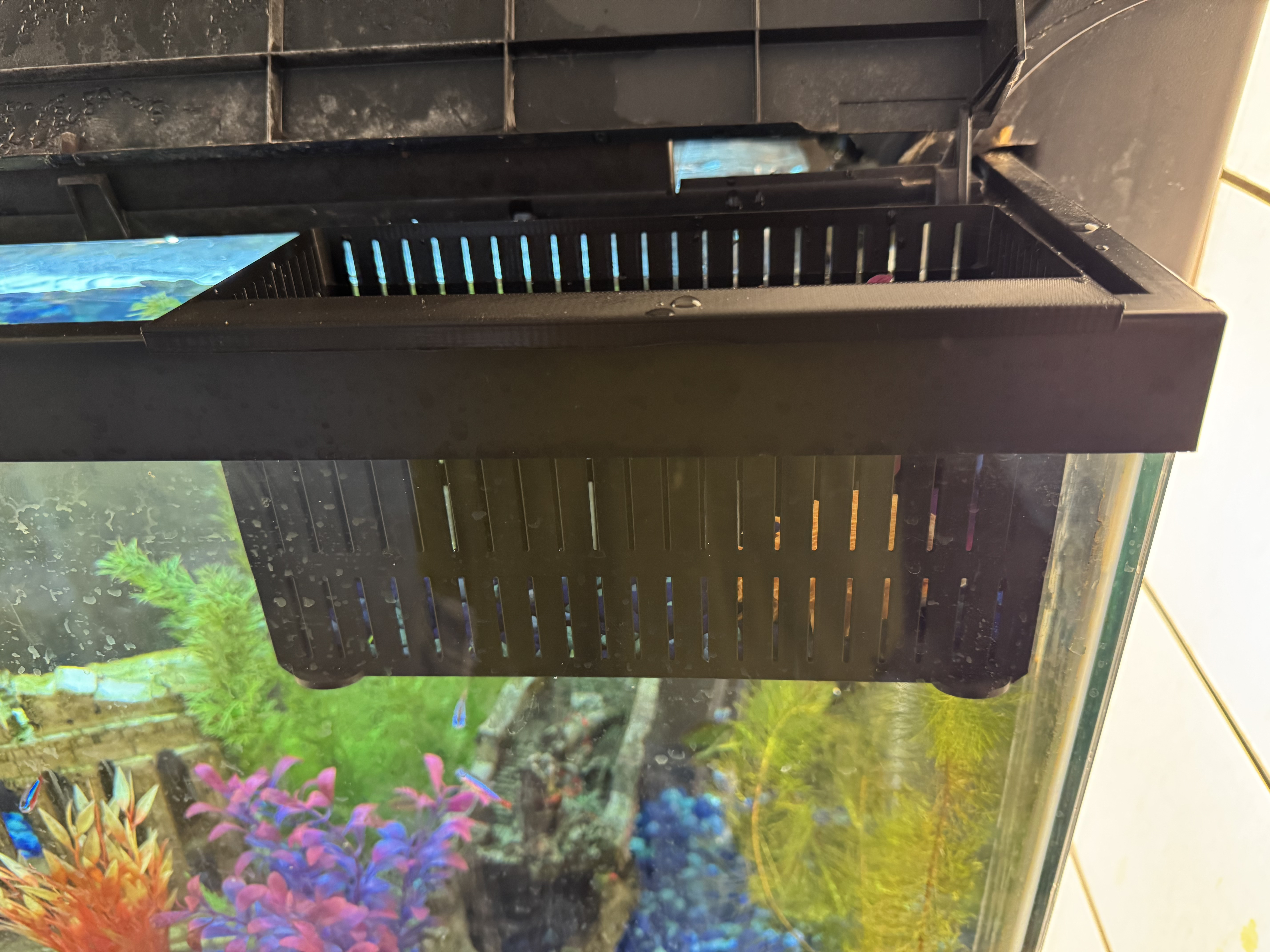 Isolation Basket for "Thick Rim" Aquariums