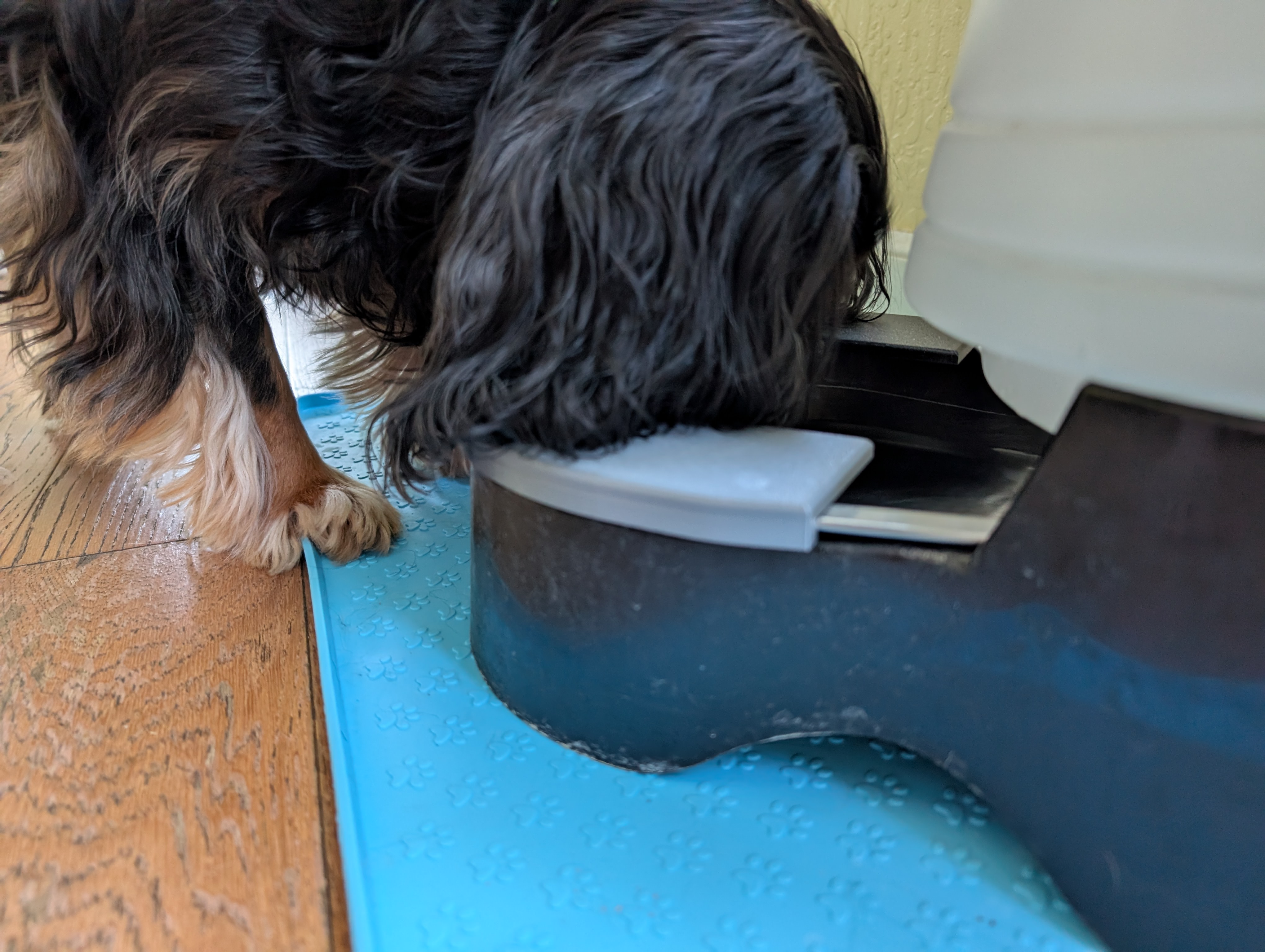 Dog Ear Guards for PetSafe Water Bowl (Spanguards)