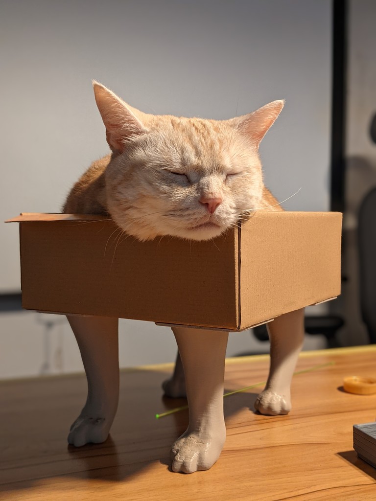 Cat feet for box