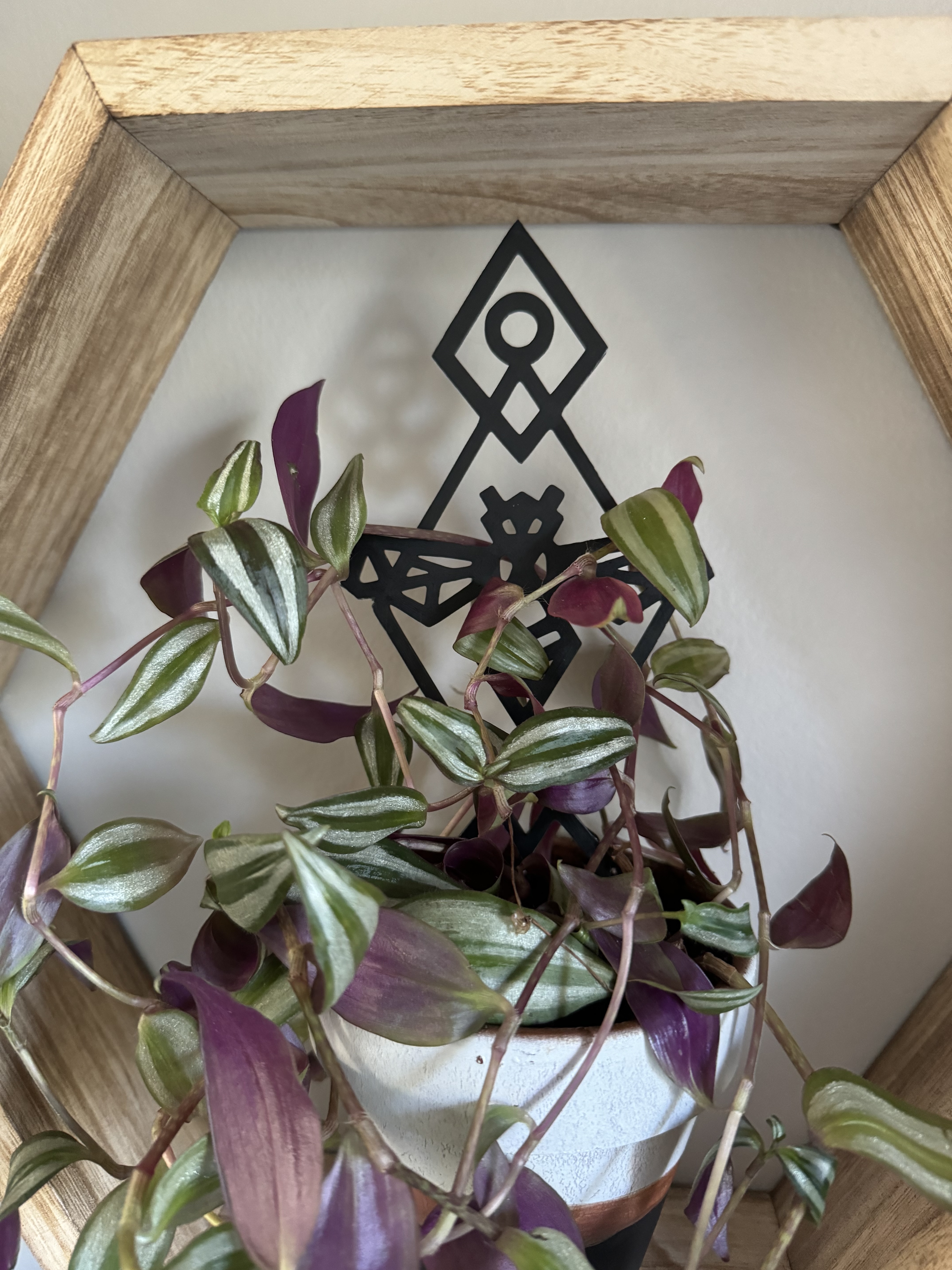 Geometric Bee Plant Trellis