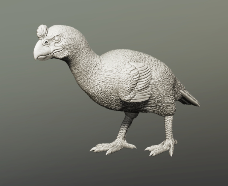 Sylviornis Sculpture