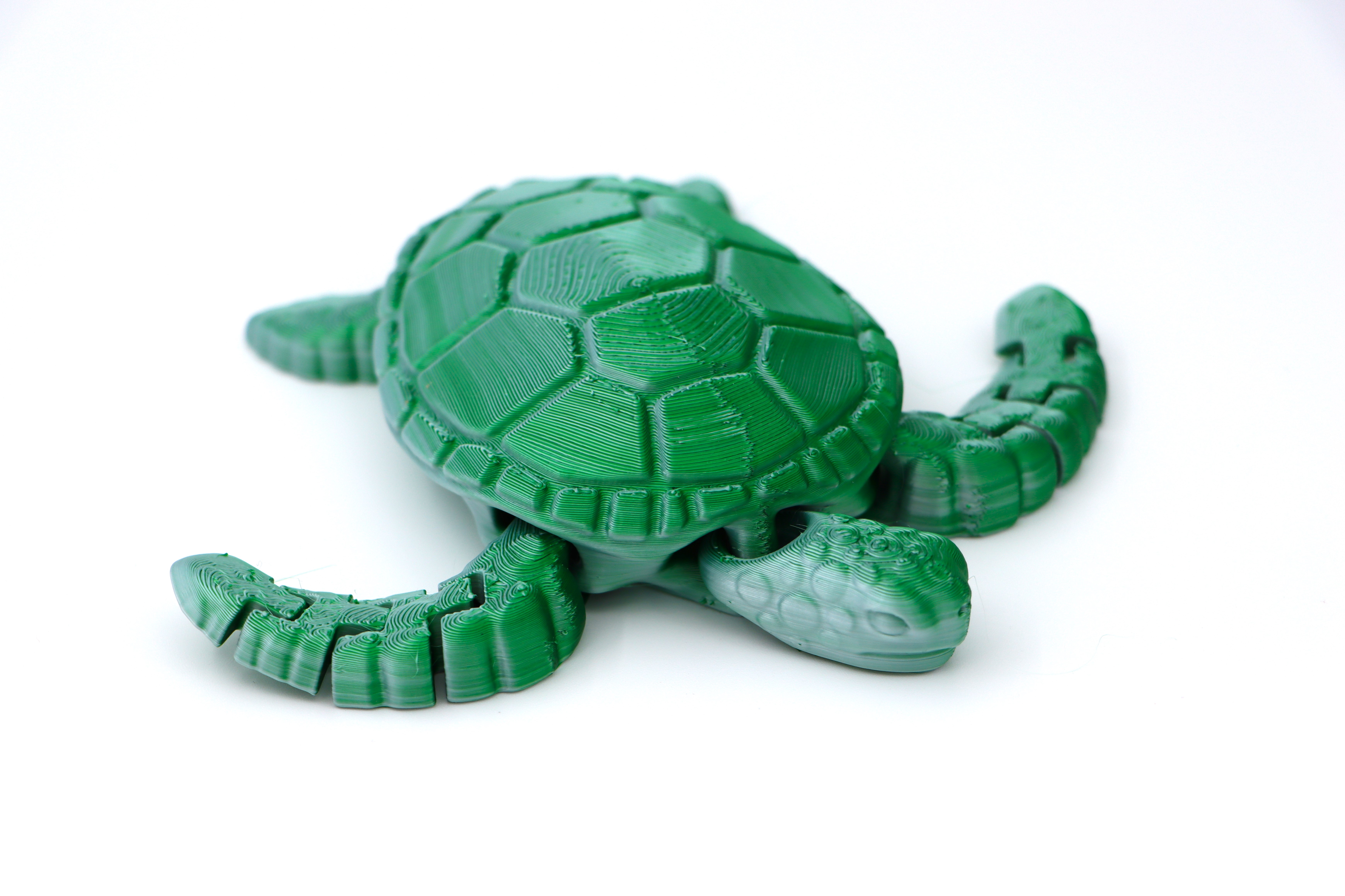 Articulated turtle by p1lotz printables store