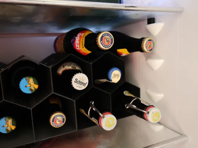 Modular bottle organizer