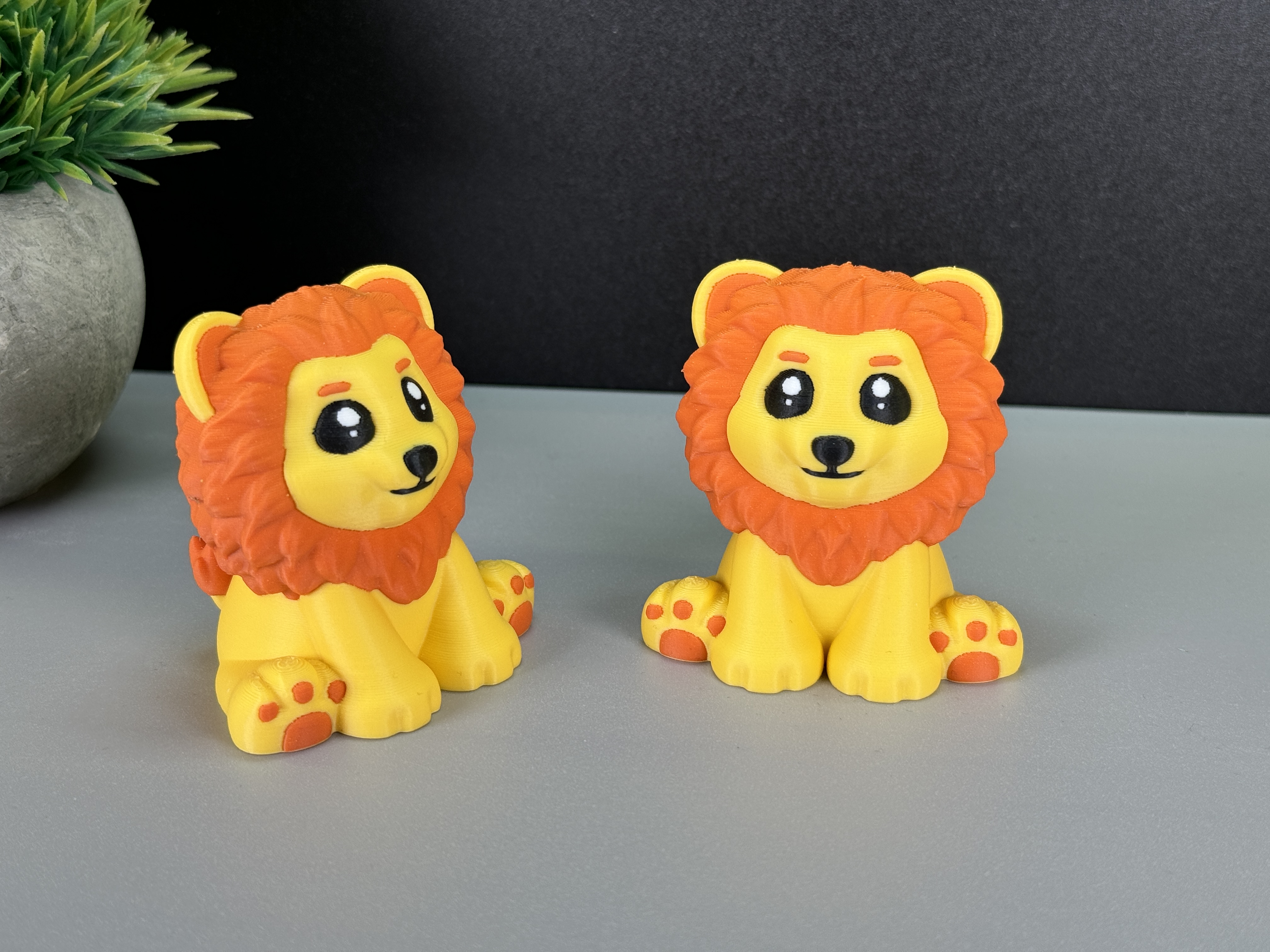 Cute Lion