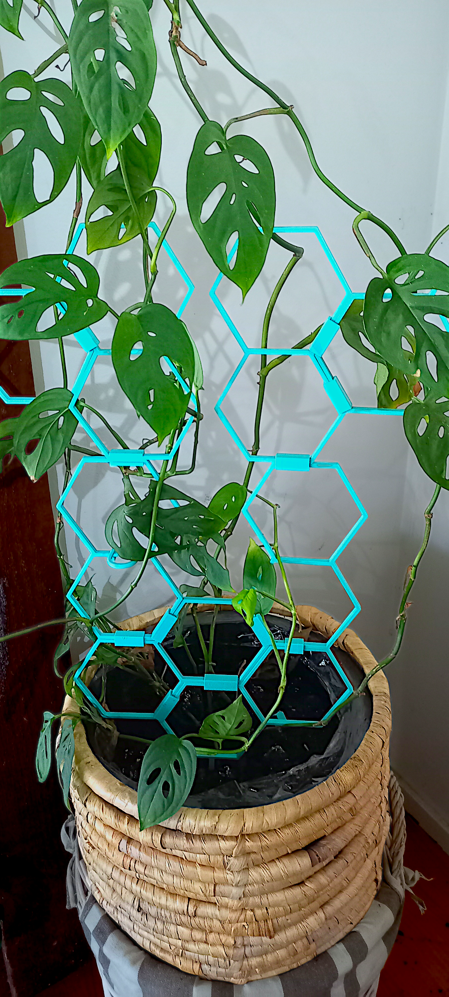 Plant climbing support