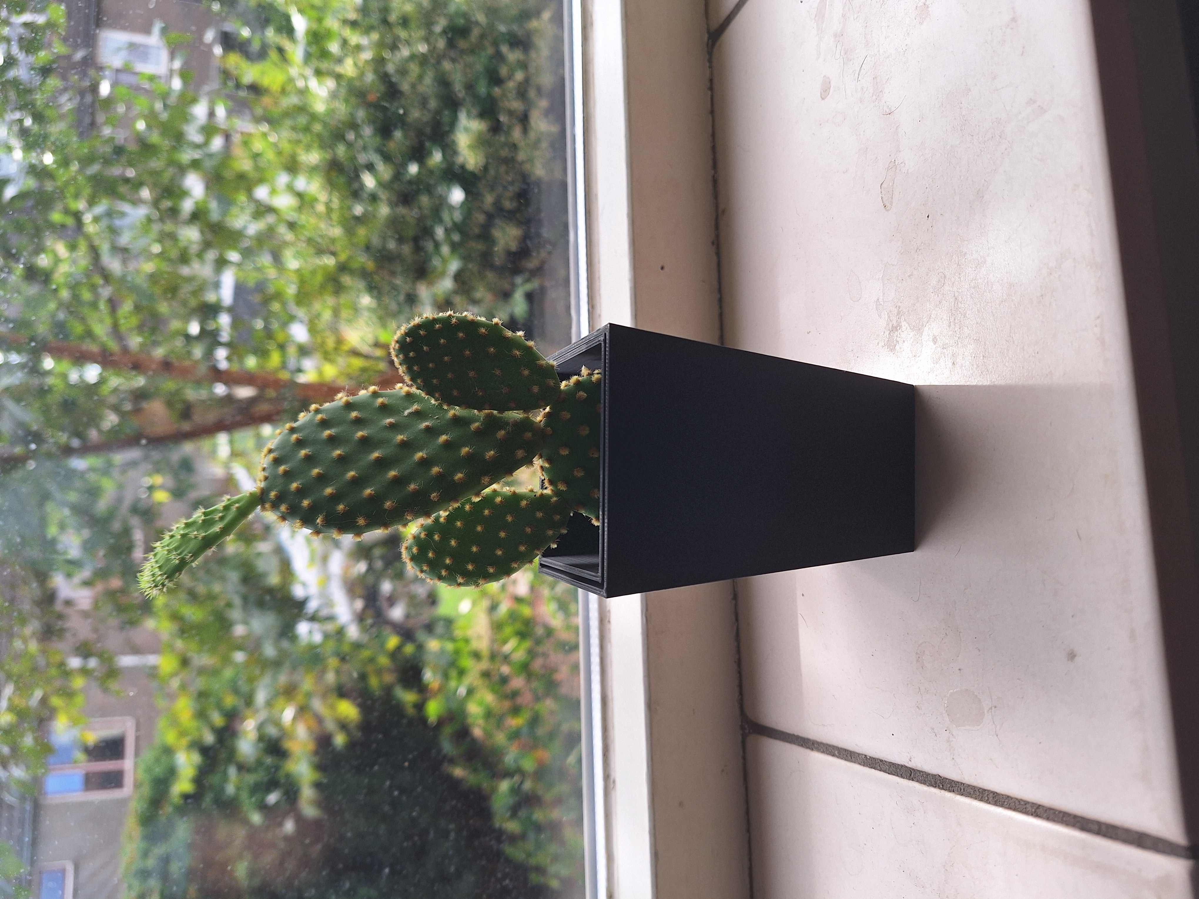 Designer plant pot with anti root rot system