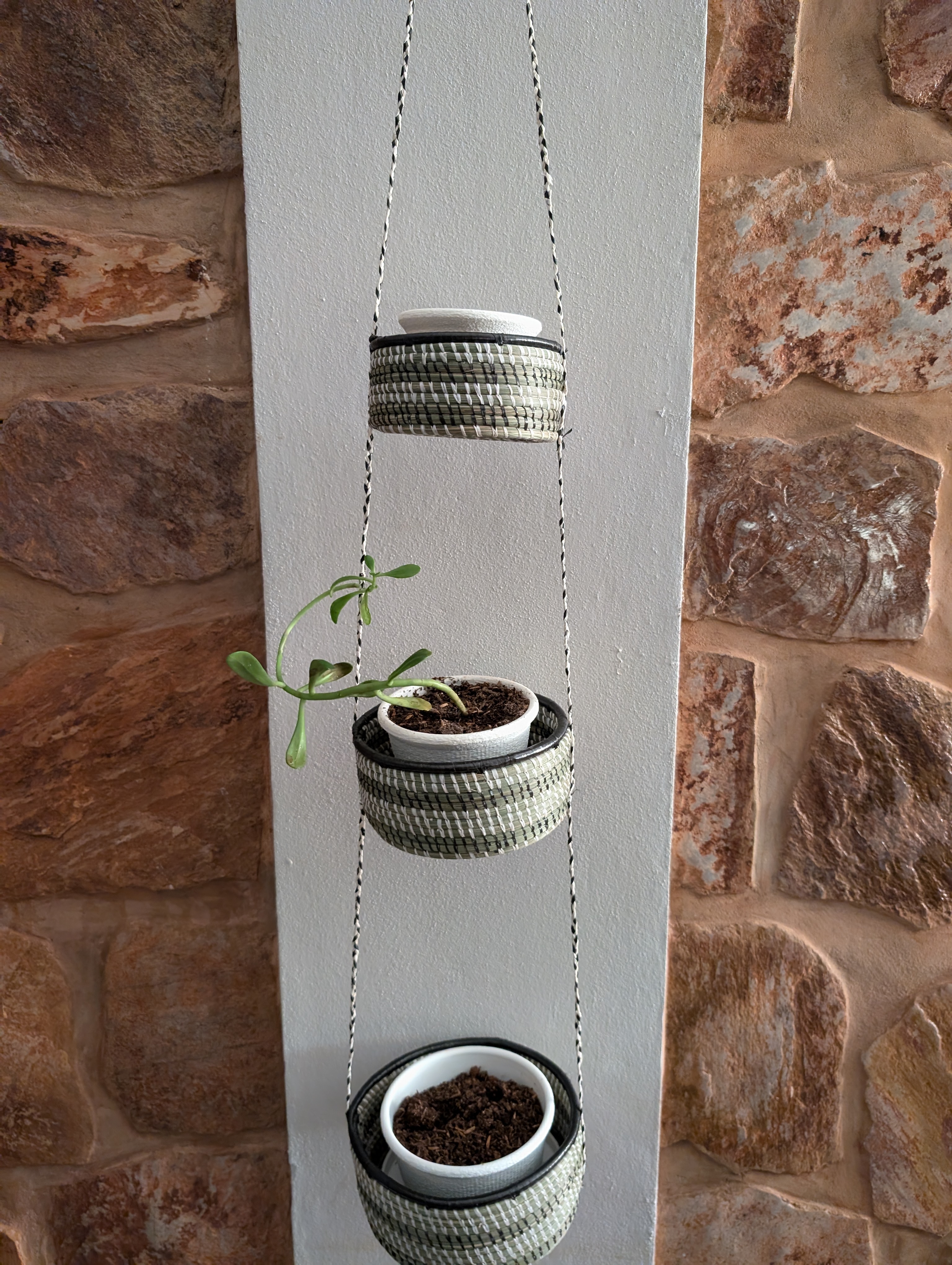 Miniatura 2 do modelo 3D Basic Planter