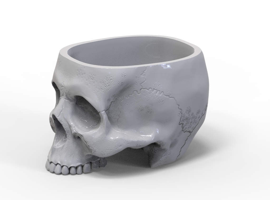 Mug Skull — thumbnail 5