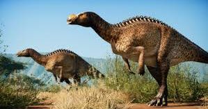 muttaburrasaurus by seth the yutyrannus | Download free STL model ...