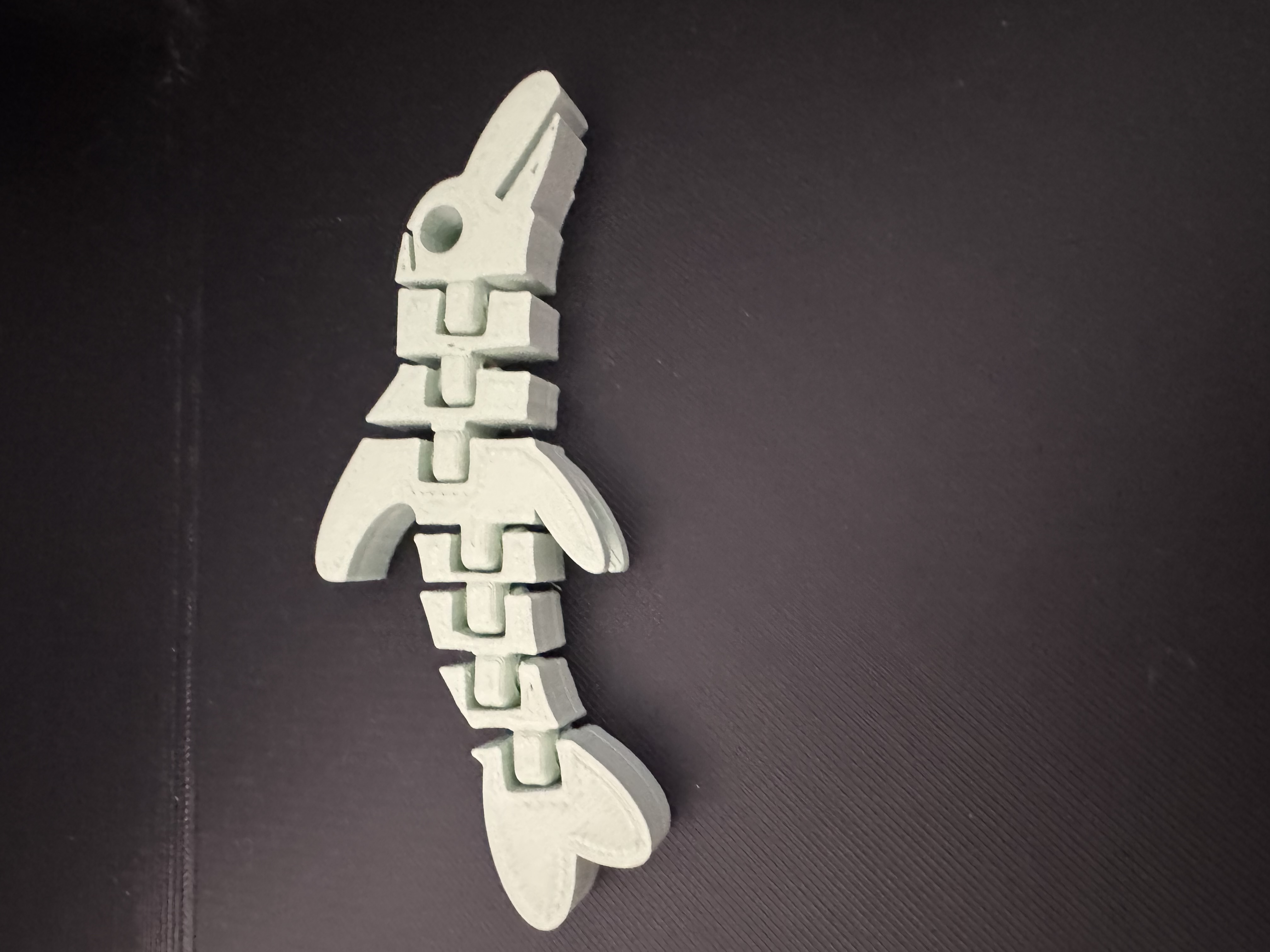 articulated dolphin