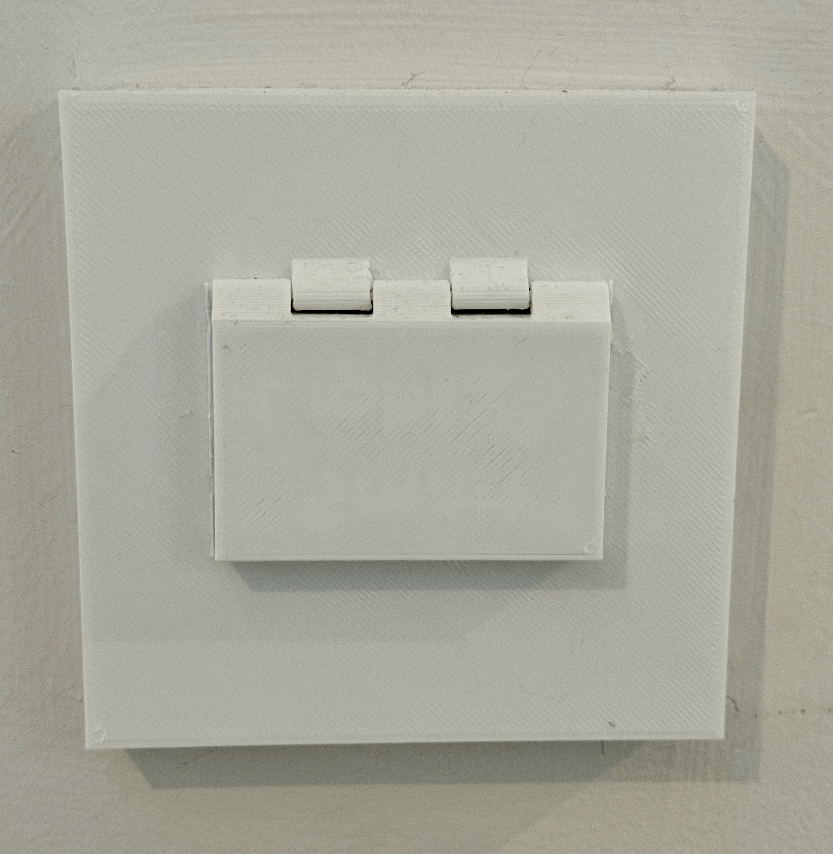 (UK) Light Switch Cover