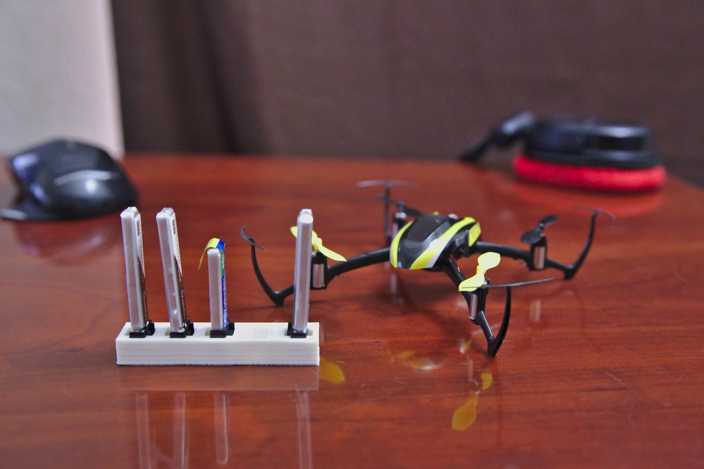 1S LiPo Battery Organizer
