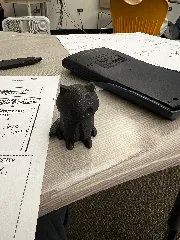 Bean cats