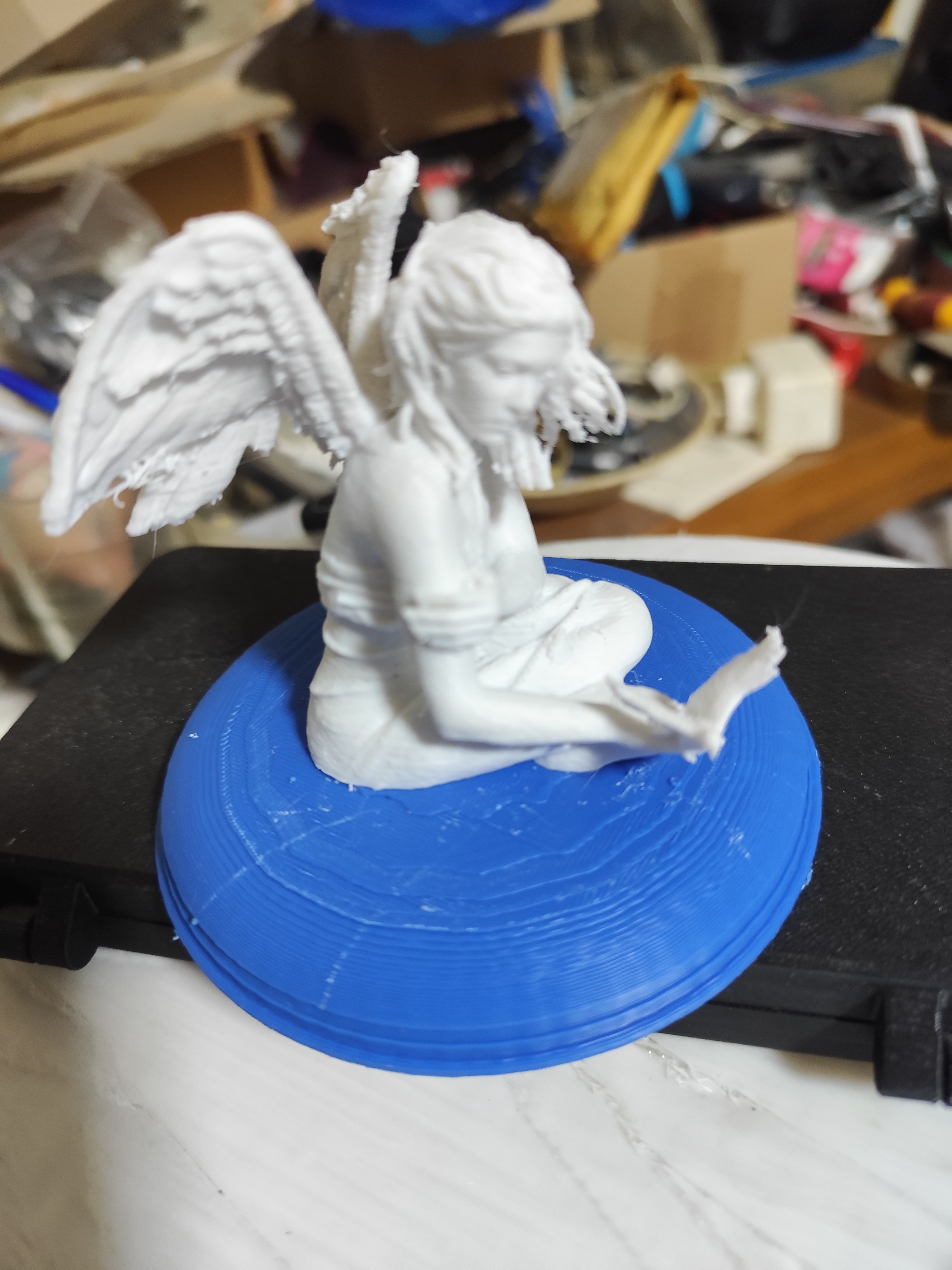 sitting fairy with dove