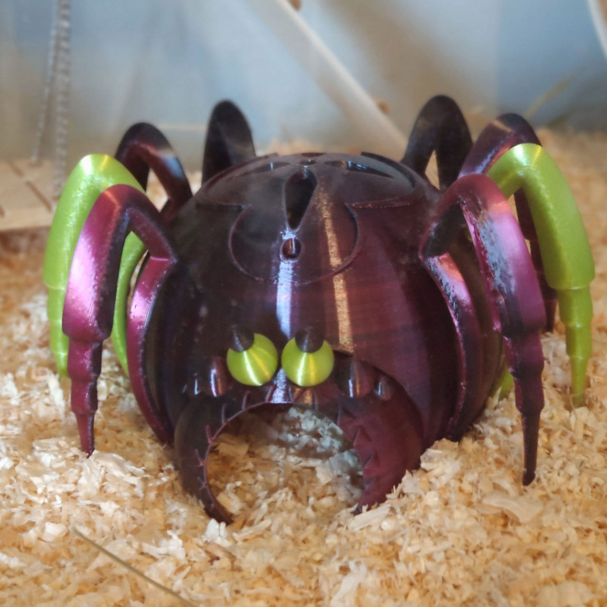 Hamster House "Apartment Arachnia"